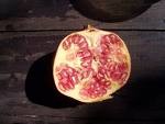  Les fruits du Grenadier .jpg