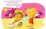 findus-durable_article.jpg